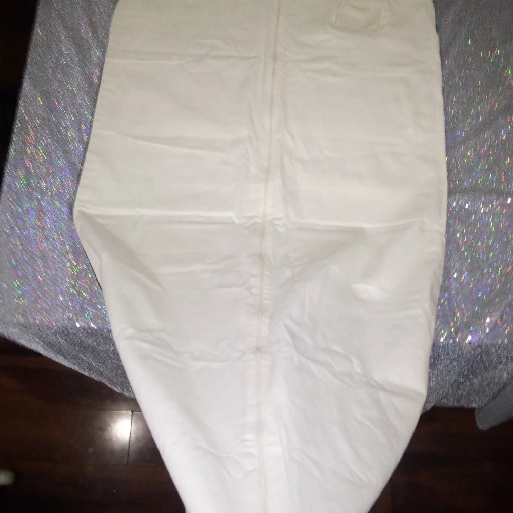 Fendi garment dress bag